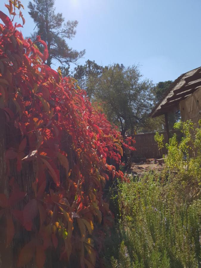 Gate Away B&B Units - המקום באל רום Buitenkant foto