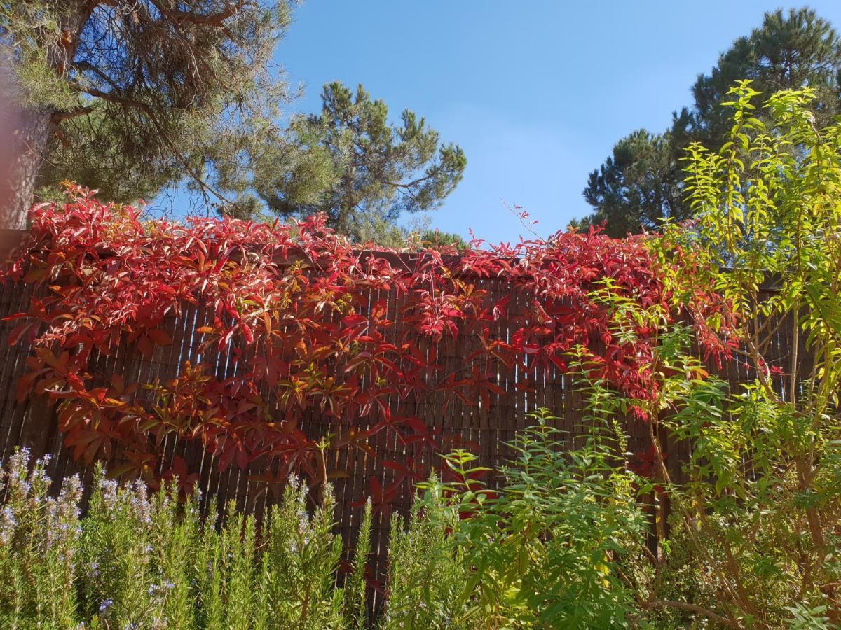 Gate Away B&B Units - המקום באל רום Buitenkant foto