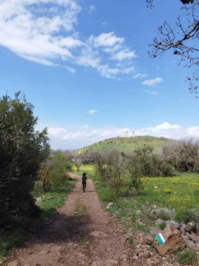 Gate Away B&B Units - המקום באל רום Buitenkant foto