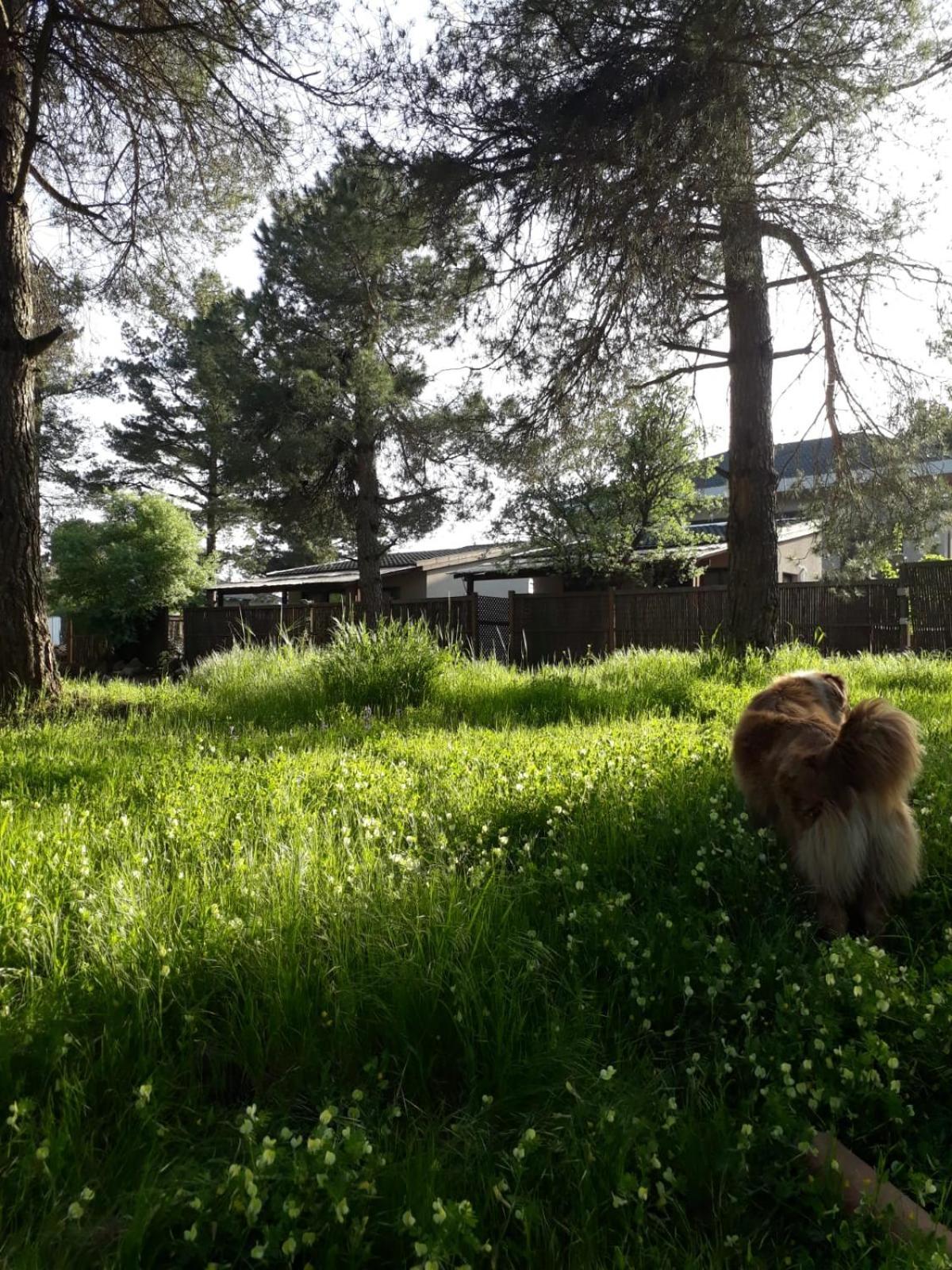 Gate Away B&B Units - המקום באל רום Buitenkant foto