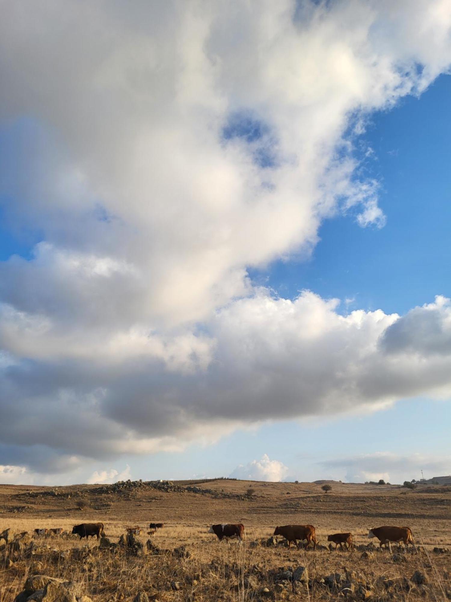 Gate Away B&B Units - המקום באל רום Buitenkant foto
